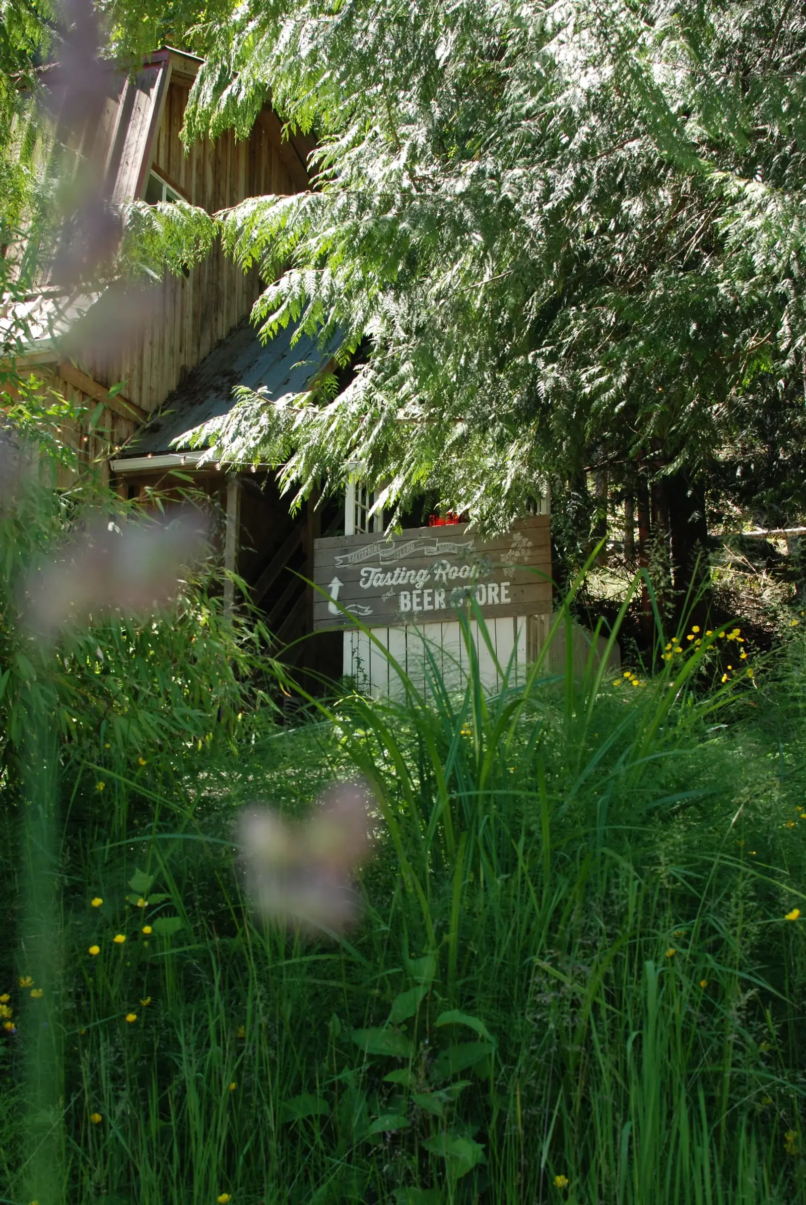 The hand-painted Tasting Room and Beer Store sign tucked into the greenery